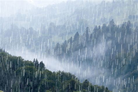 下大雨照片